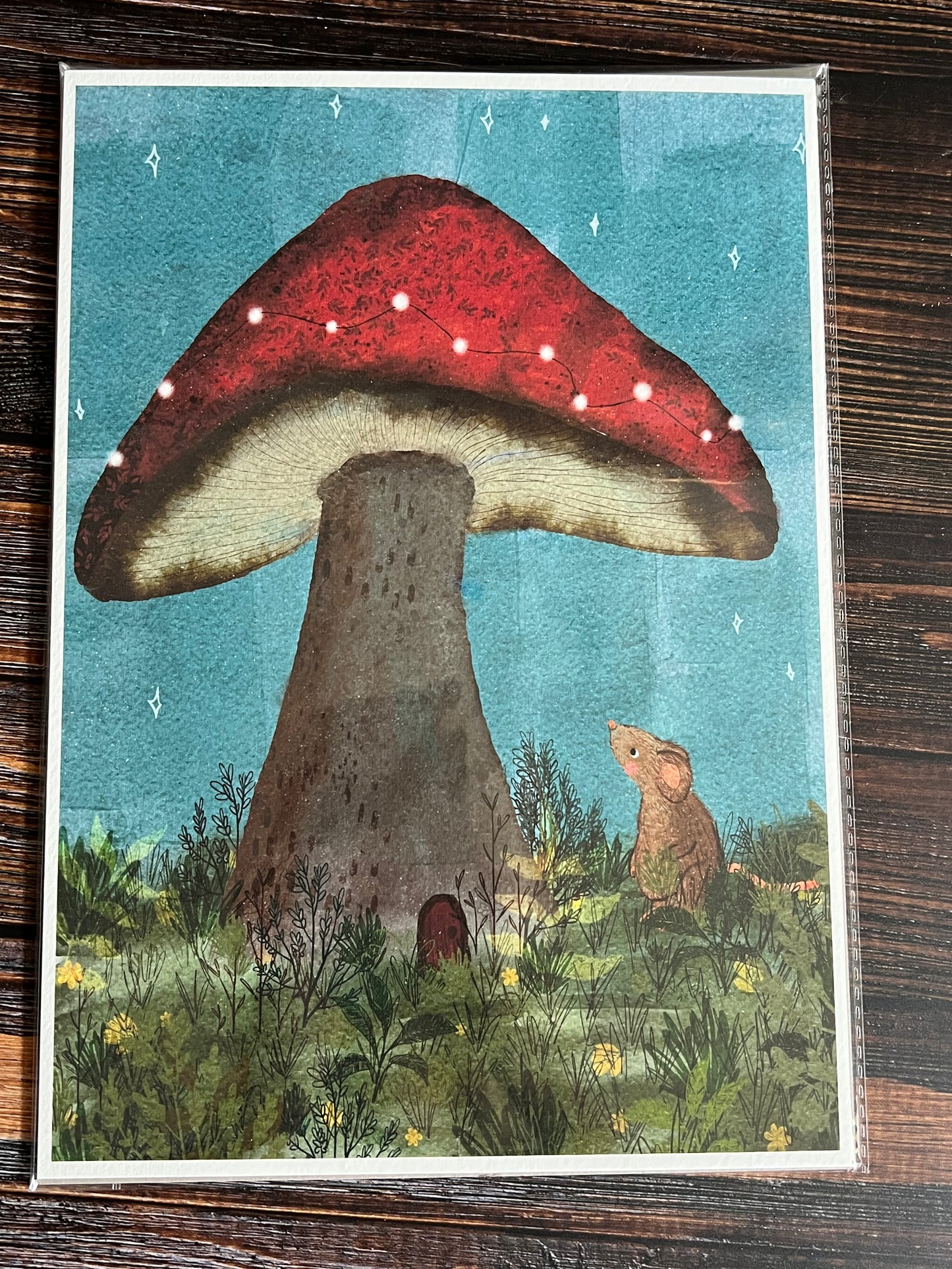An Unexpected Discovery Art Print